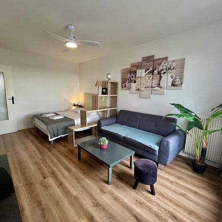 Appartement Rue Condorcet Parking Prive- Dabnb リモージュ エクステリア 写真