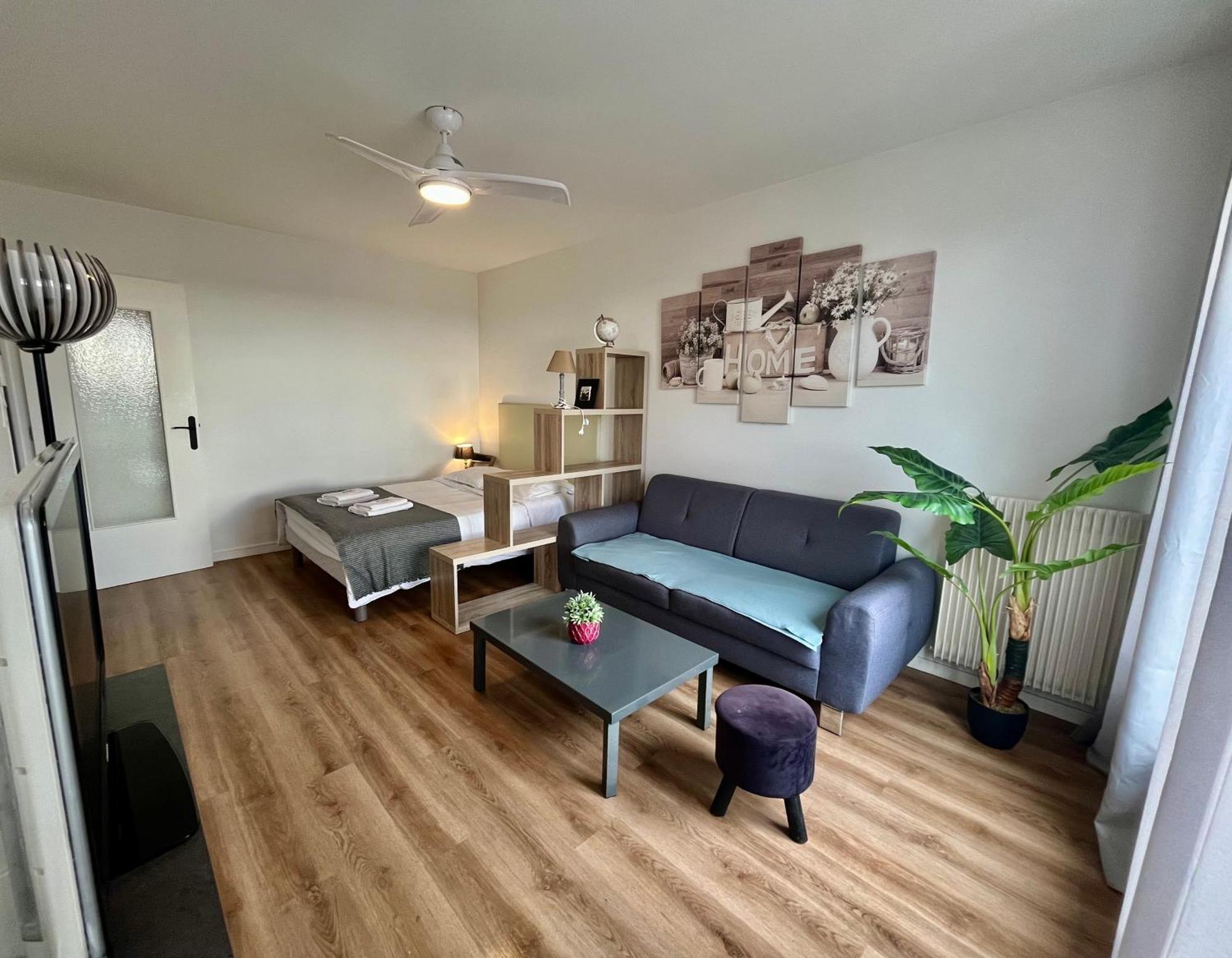 Appartement Rue Condorcet Parking Prive- Dabnb リモージュ エクステリア 写真
